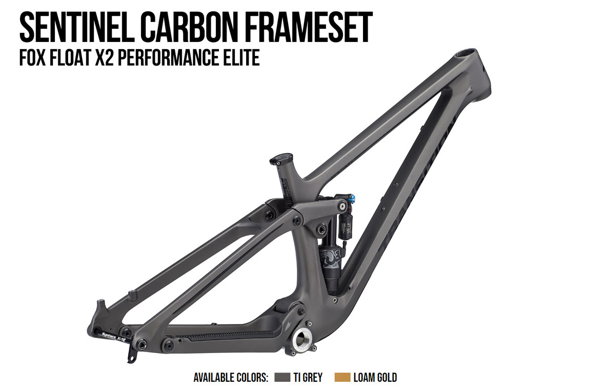 Transition Sentinel Frameset 2020