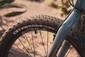 Велосипед 2020 Giant XtC Jr 26 Plus