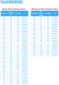 Велообувь Shimano RP300 - 3