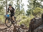 Багажник Topeak TETRARACK M2 MTB на перья - 4