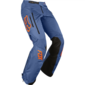 Мотоштаны Fox Racing Legion EX Pant (17677) - 1