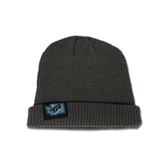 Шапка TBC Tag Beanie Hometown Logo