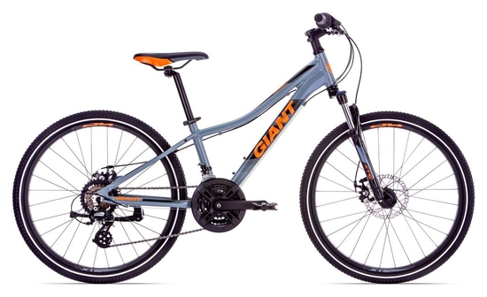 Велосипед 2019 Giant XtC Jr 1 Disc 24