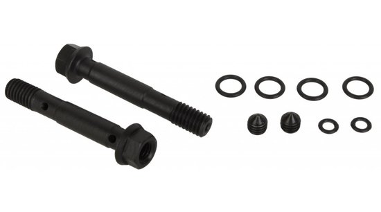 Фитинг banjo  Avid Banjo bolt kit AM05 Juicy-5, 04-05 Juicy-7