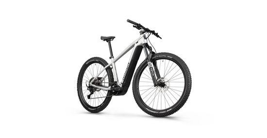 Электровелосипед MTB Radon JEALOUS HYBRID 8.0 750