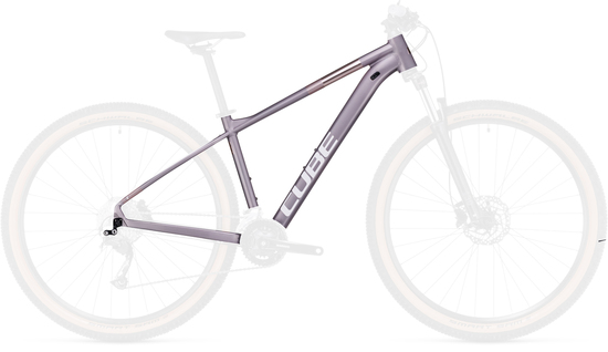 Рама Cube Access WS Pro 29' Frame