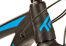 Transition-scout-2015-trail.jpg Transition-scout-2015-trail.jpg
