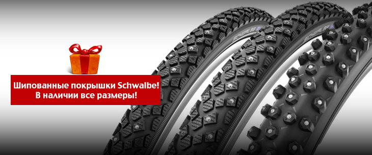 schwalbe_spikes_2015_12.jpg